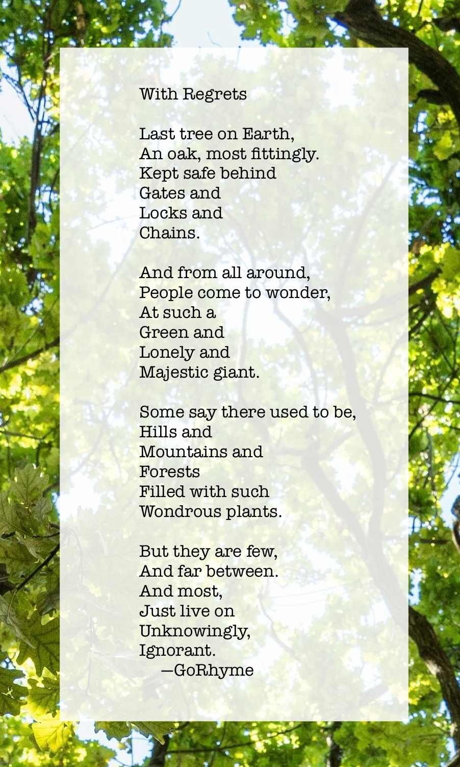 Poetry by Kelly Gray